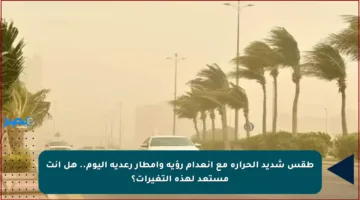 طقس شديد الحرارة مع انعدام رؤية وأمطار رعدية اليوم.. هل أنت مستعد لهذه التغيرات؟